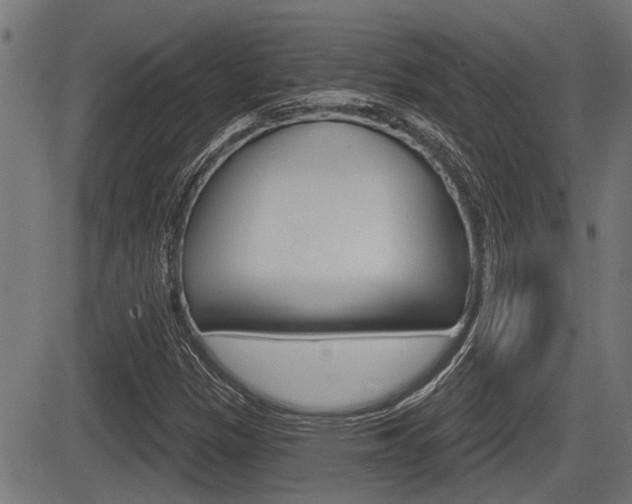 X0000083591305200702090831