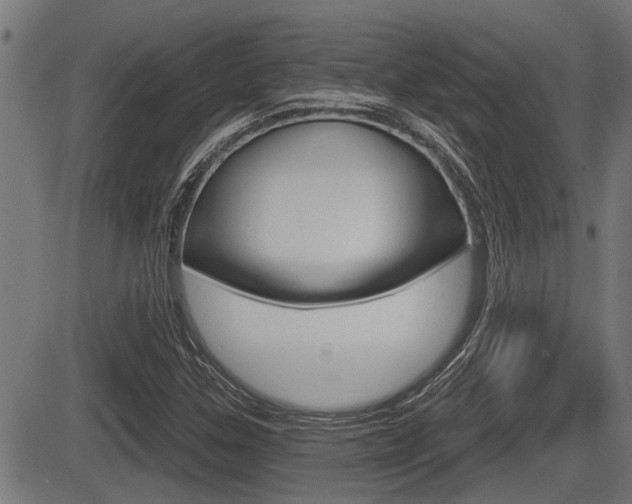 X0000083591307200702090831