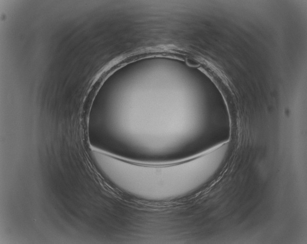 X0000083591308200702090831