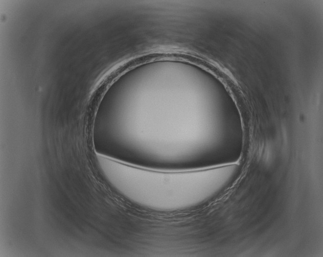 X0000083591311200702090831