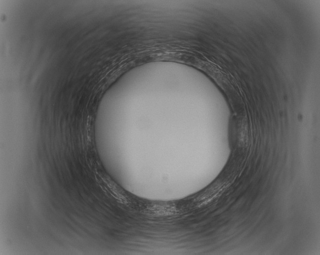 X0000083591346200702090831