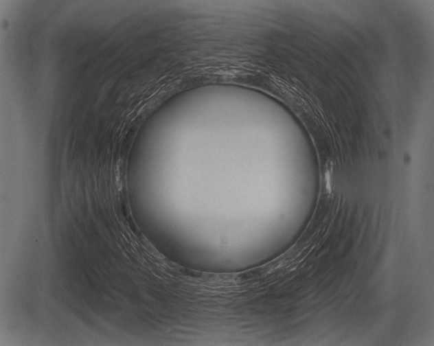 X0000083591347200702090831