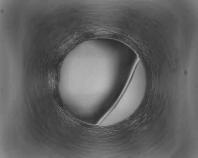 X0000083591348200702090831