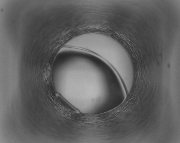 X0000083591349200702090831