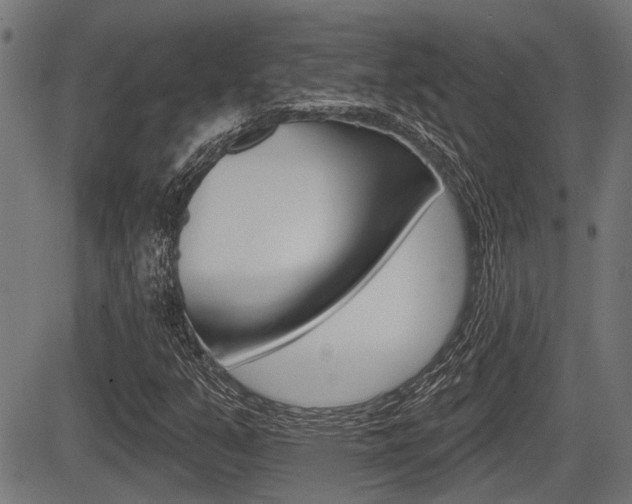 X0000083591351200702090831