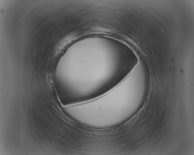 X0000083591355200702090831