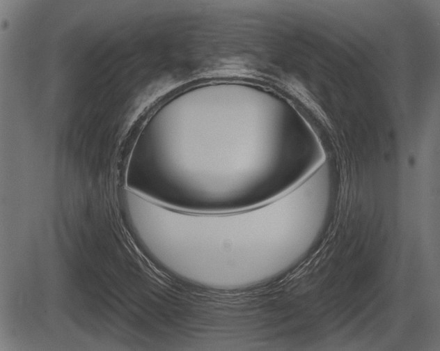 X0000083591356200702090831