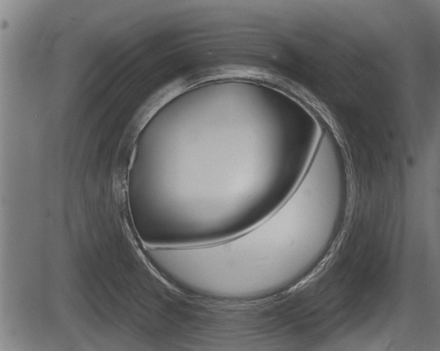 X0000083591377200702090831