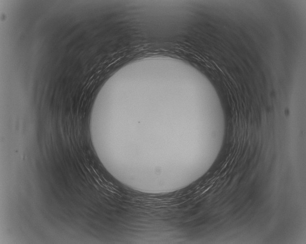 X0000083591394200702090830