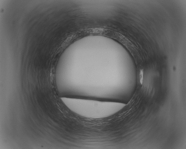X0000083591395200702090830