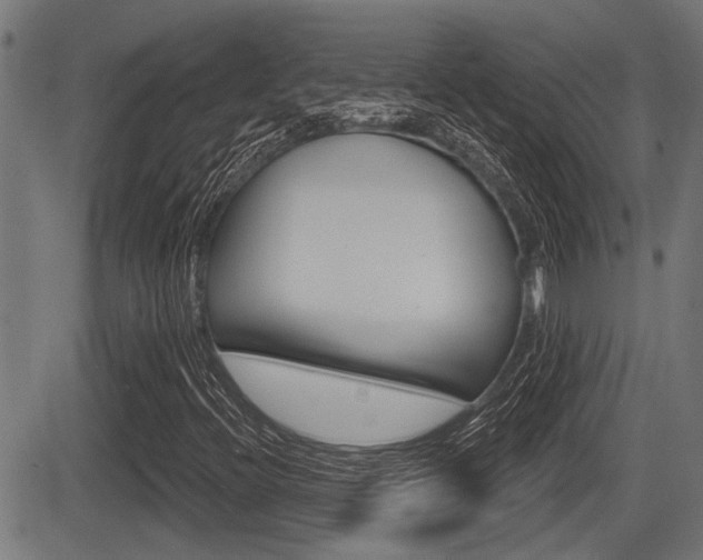 X0000083591396200702090830