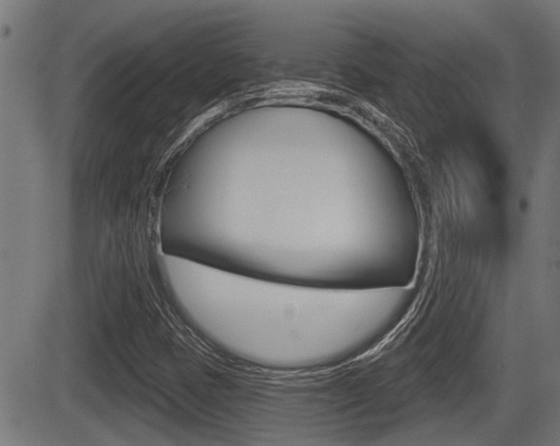 X0000083591401200702090830