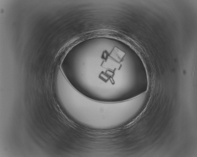 X0000083591402200702090830