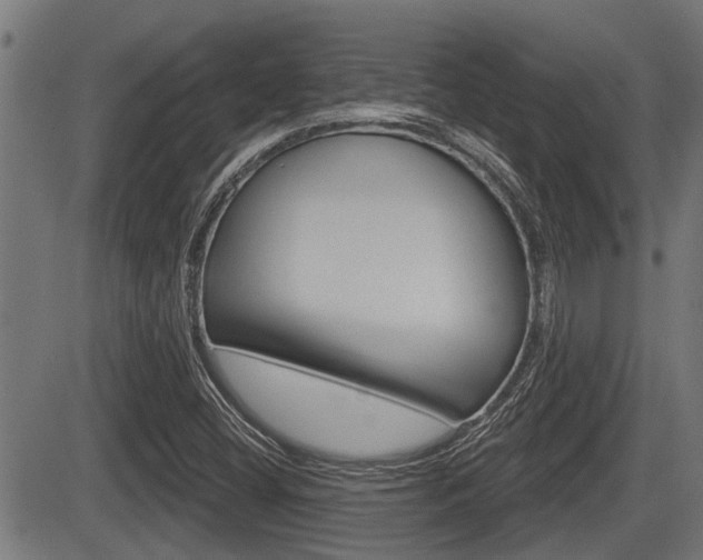 X0000083591404200702090830