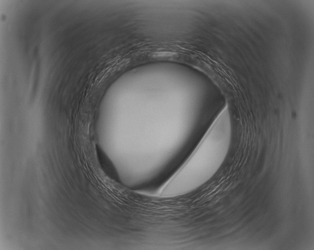 X0000083591441200702090830
