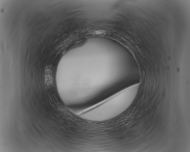 X0000083591442200702090830