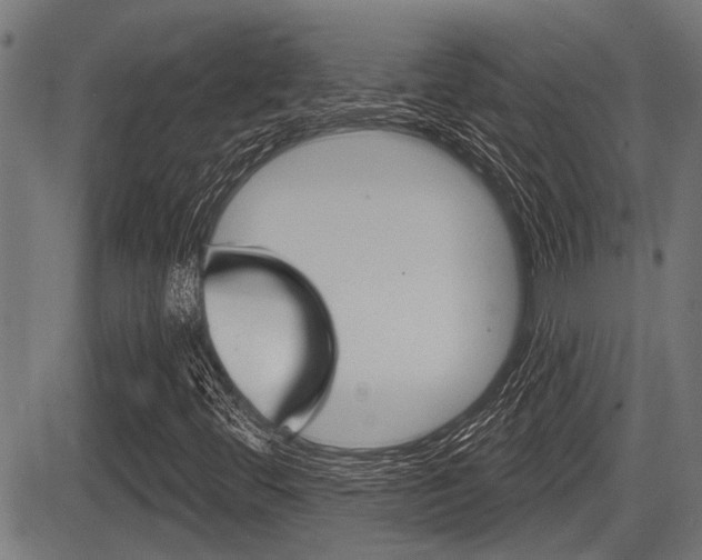 X0000083591444200702090830