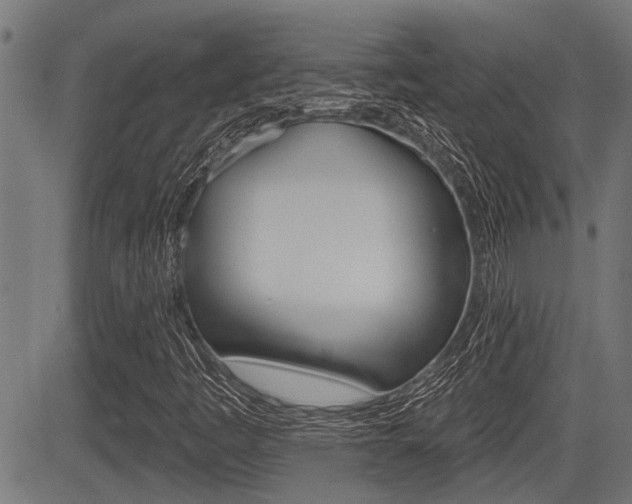 X0000083591445200702090829