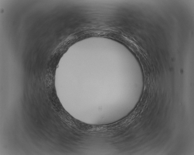 X0000083591447200702090829