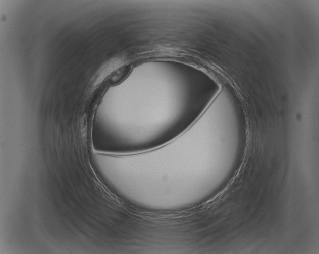 X0000083591450200702090829