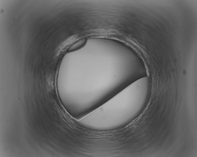X0000083591451200702090829