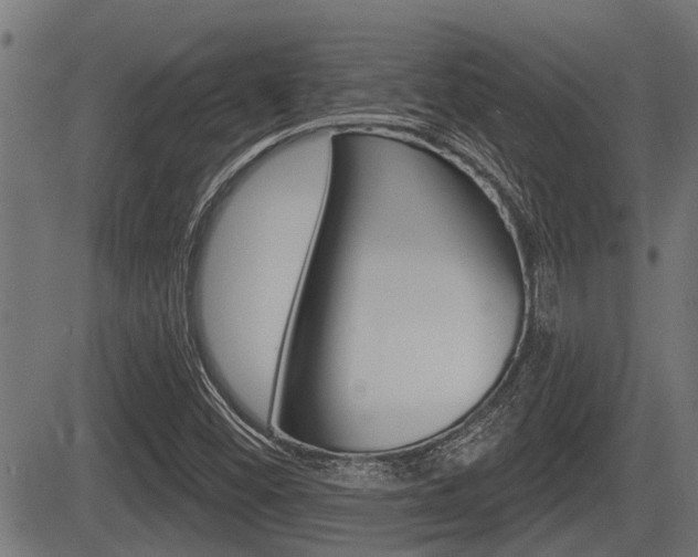 X0000083591452200702090829