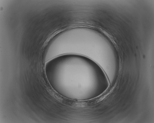 X0000083591453200702090829