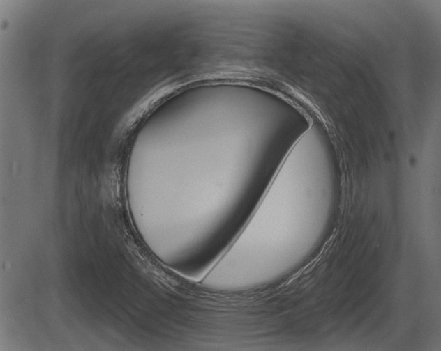X0000083591455200702090829