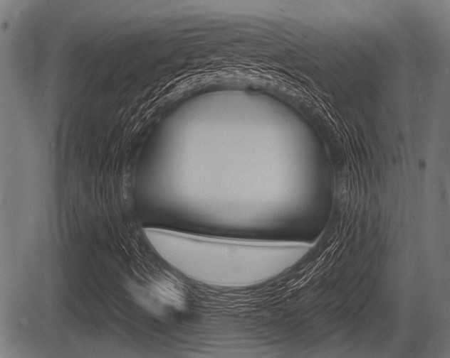 X0000083591490200702090828