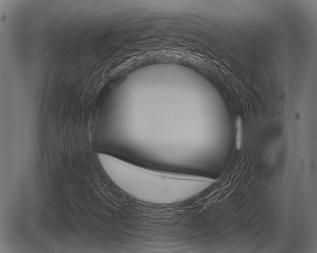 X0000083591491200702090828