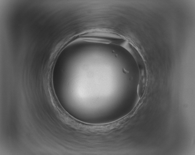 X0000083590001200702091206