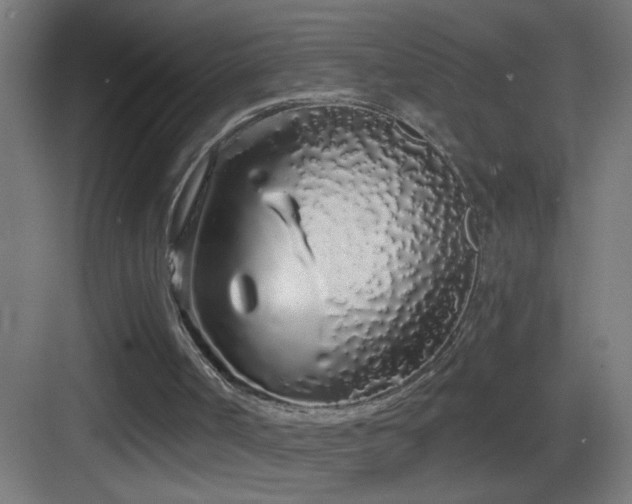 X0000083590002200702091206