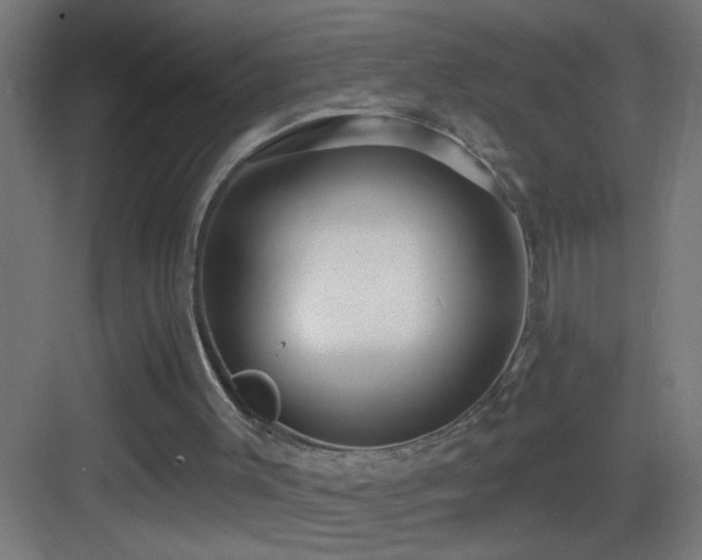 X0000083590003200702091206