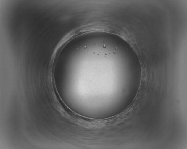 X0000083590004200702091206