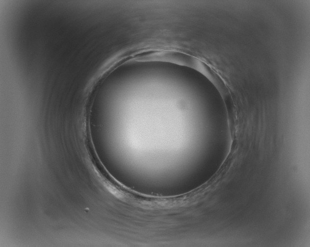 X0000083590005200702091206