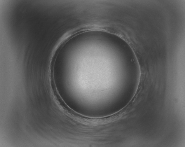 X0000083590006200702091206