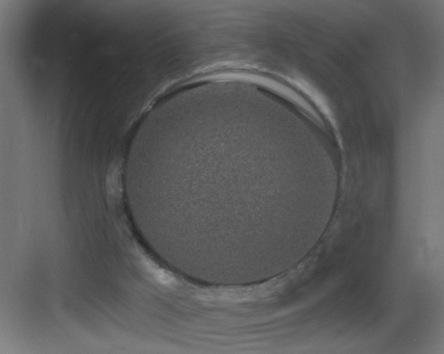 X0000083590009200702091206