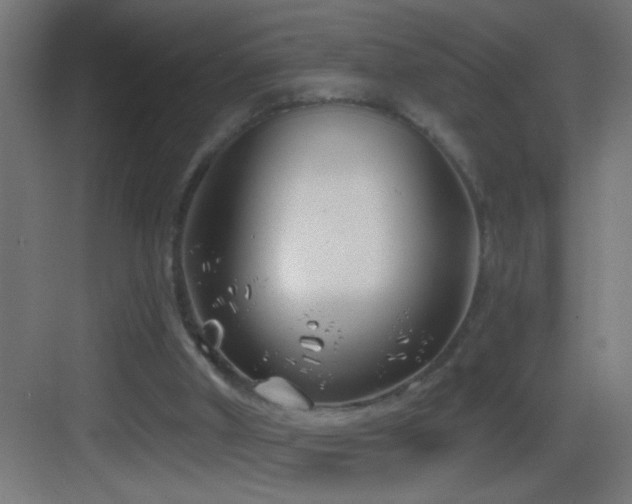 X0000083590010200702091206