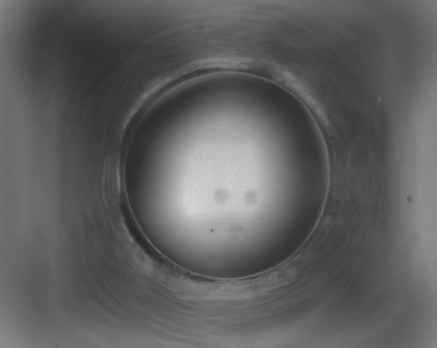 X0000083590011200702091205