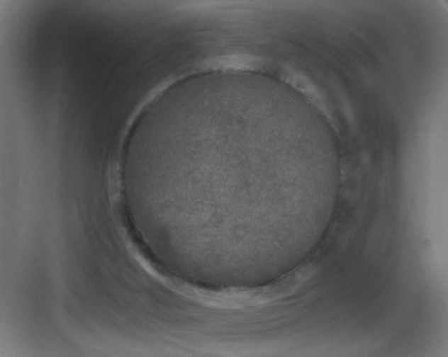 X0000083590012200702091205