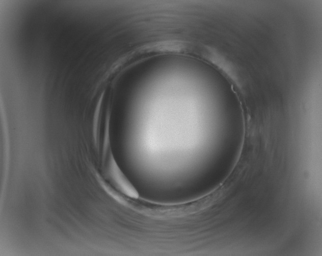 X0000083590013200702091205