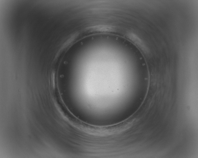 X0000083590014200702091205