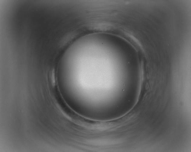 X0000083590020200702091205