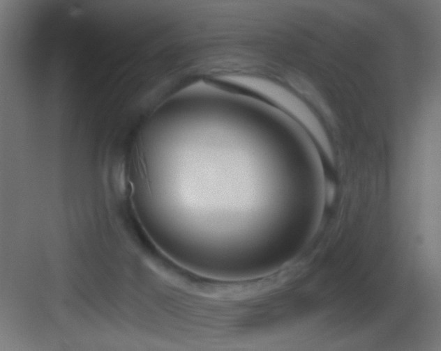 X0000083590021200702091205