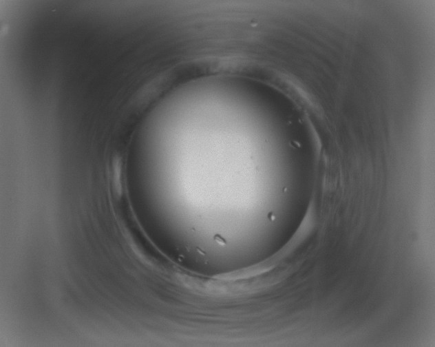 X0000083590022200702091205