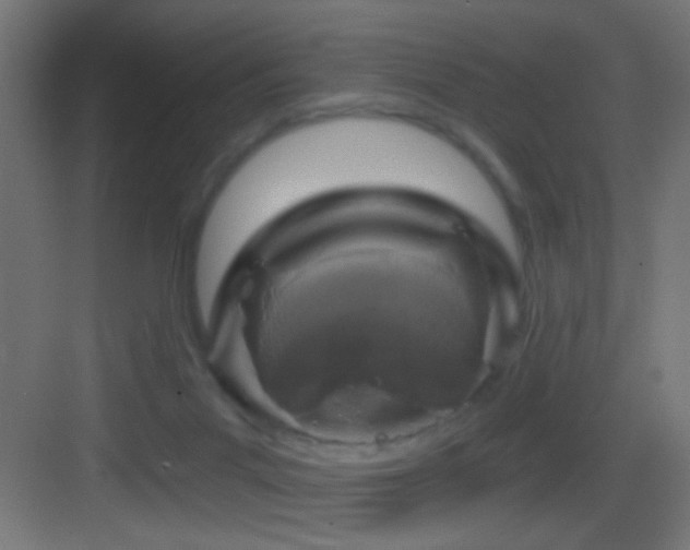 X0000083590023200702091205