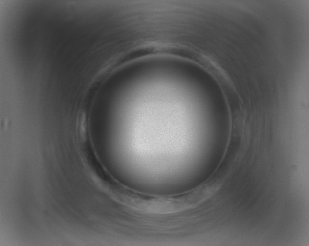 X0000083590024200702091205