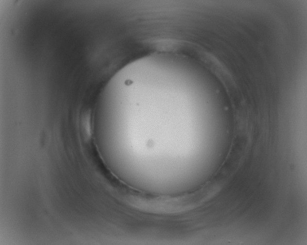 X0000083590028200702091205