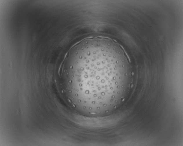 X0000083590030200702091205