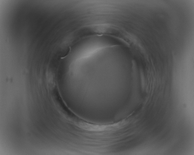 X0000083590031200702091205